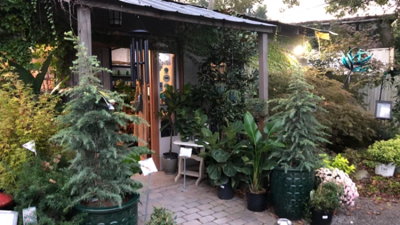 JVI Secret Gardens