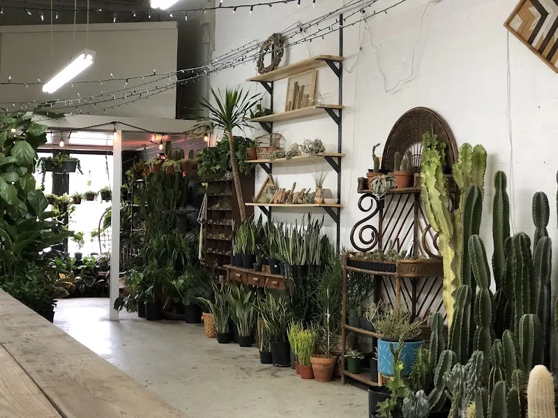 Lawrence & Clarke Cacti Co