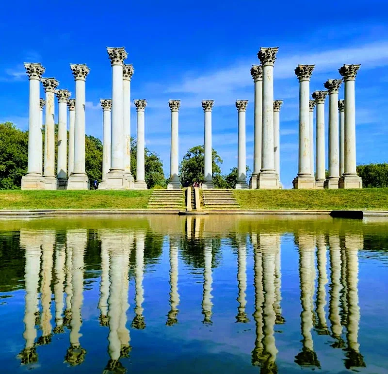 U.S. National Arboretum