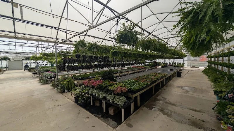 Earl's Nursery