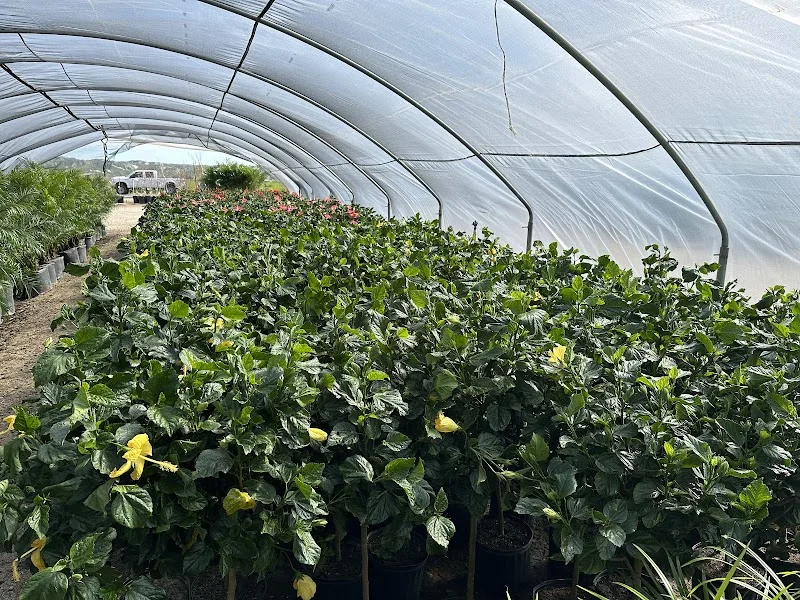 Adam Hall's Plant Nursery