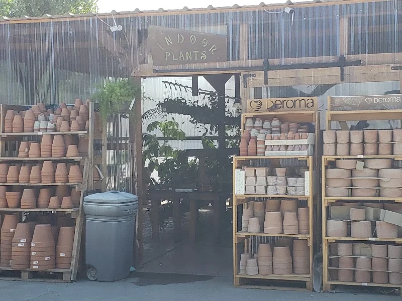 RainForest Nursery