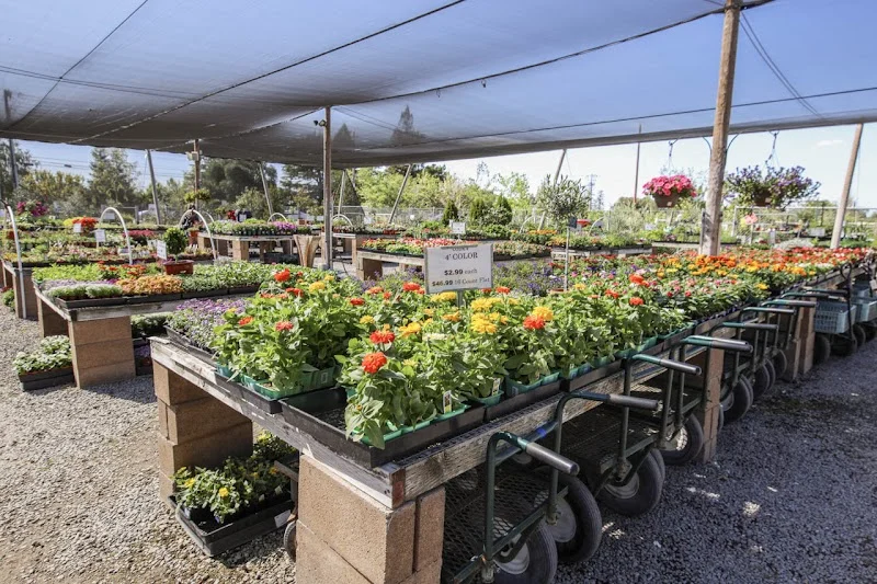 Delta Tree Farms Inc