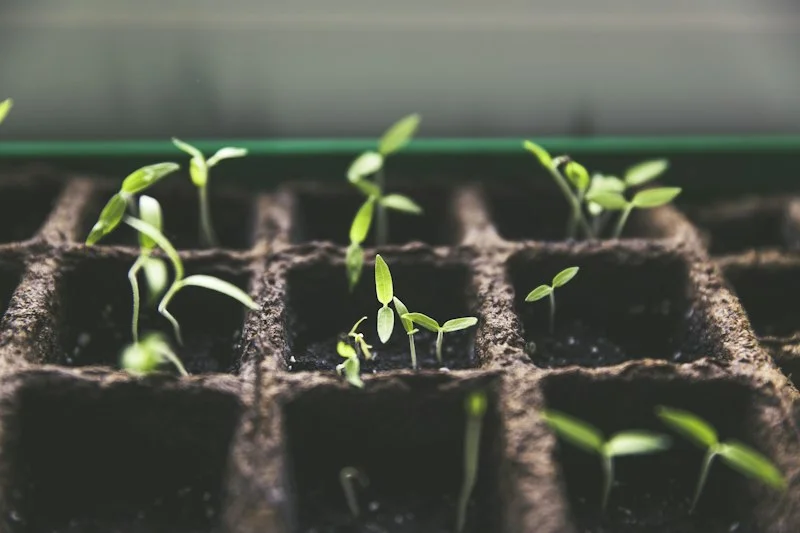 Manchester Green Thumb Gardening Services