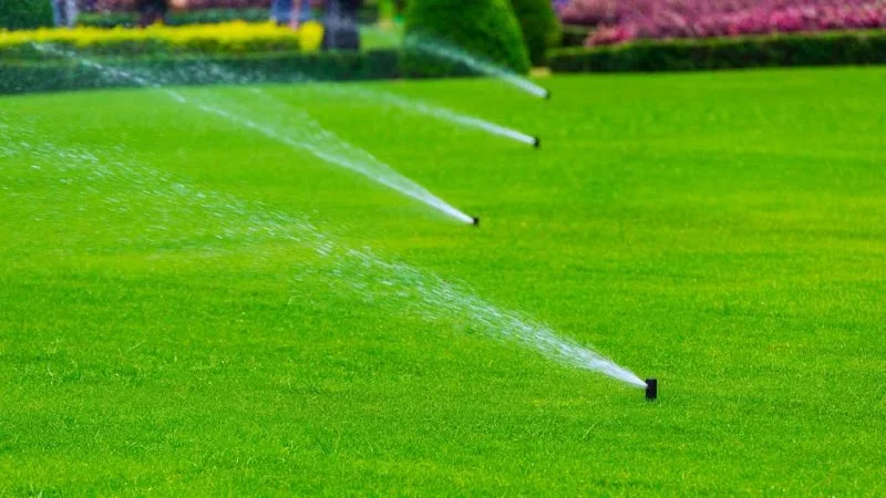 Green Foliage Unlimited, Inc. | Best Landscaper San Jose, San Jose Landscape Designer, Commercial Landscaper