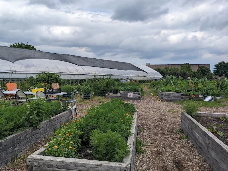 Keep Growing Detroit Farm