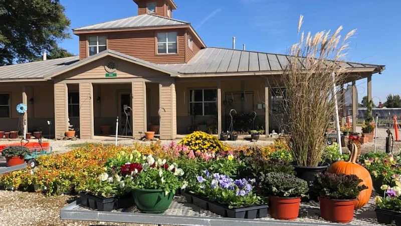 Dabney Nursery