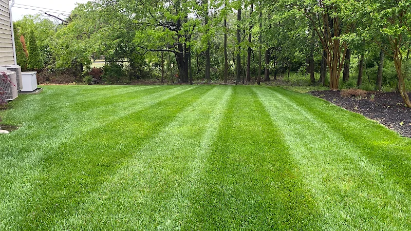 Organic Lawns
