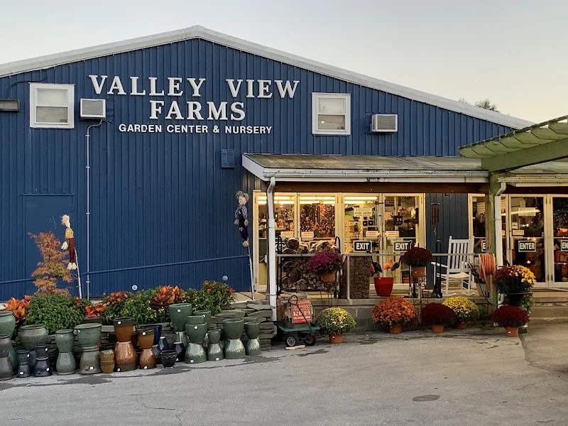 Valley View Farms