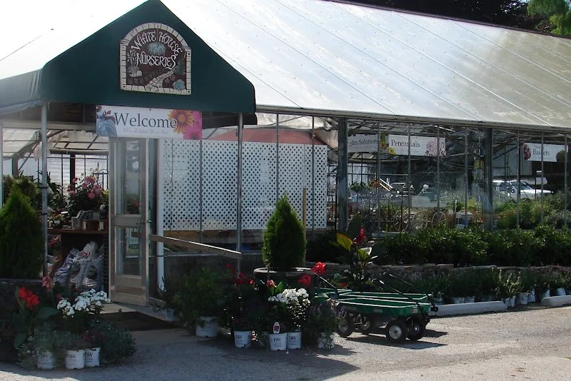 White House Nursery - retail outlet