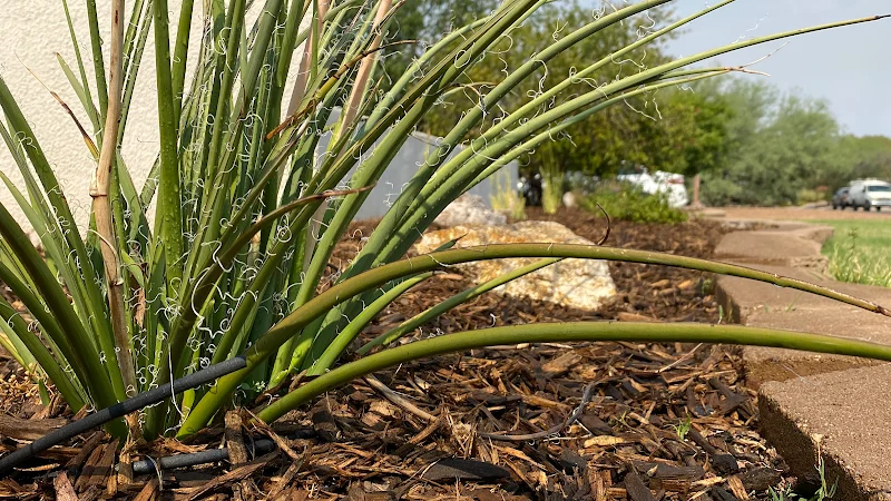 Dawn Till Dusk Landscaping, LLC