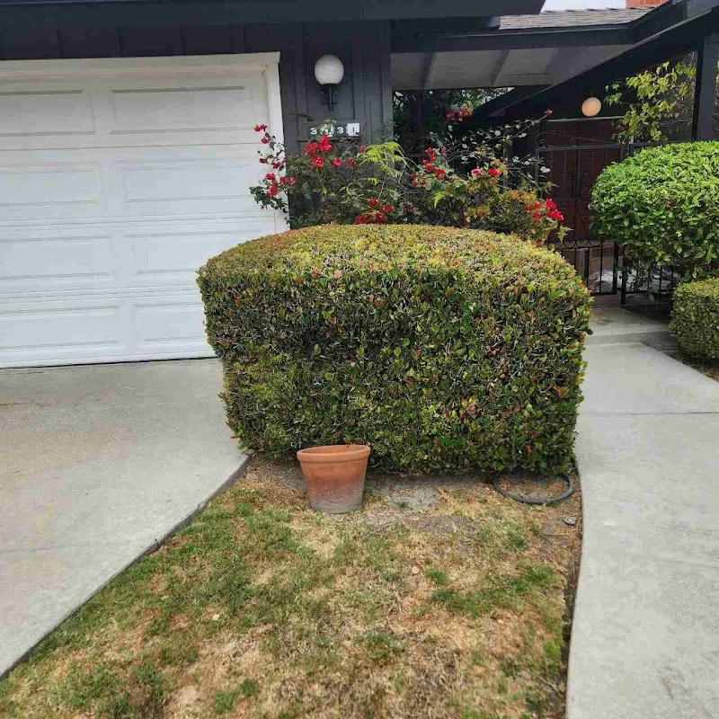 LawnStarter Landscaping