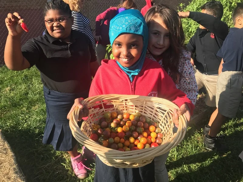 Kansas City Community Gardens