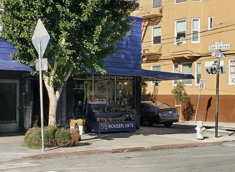 The Mellow Mission